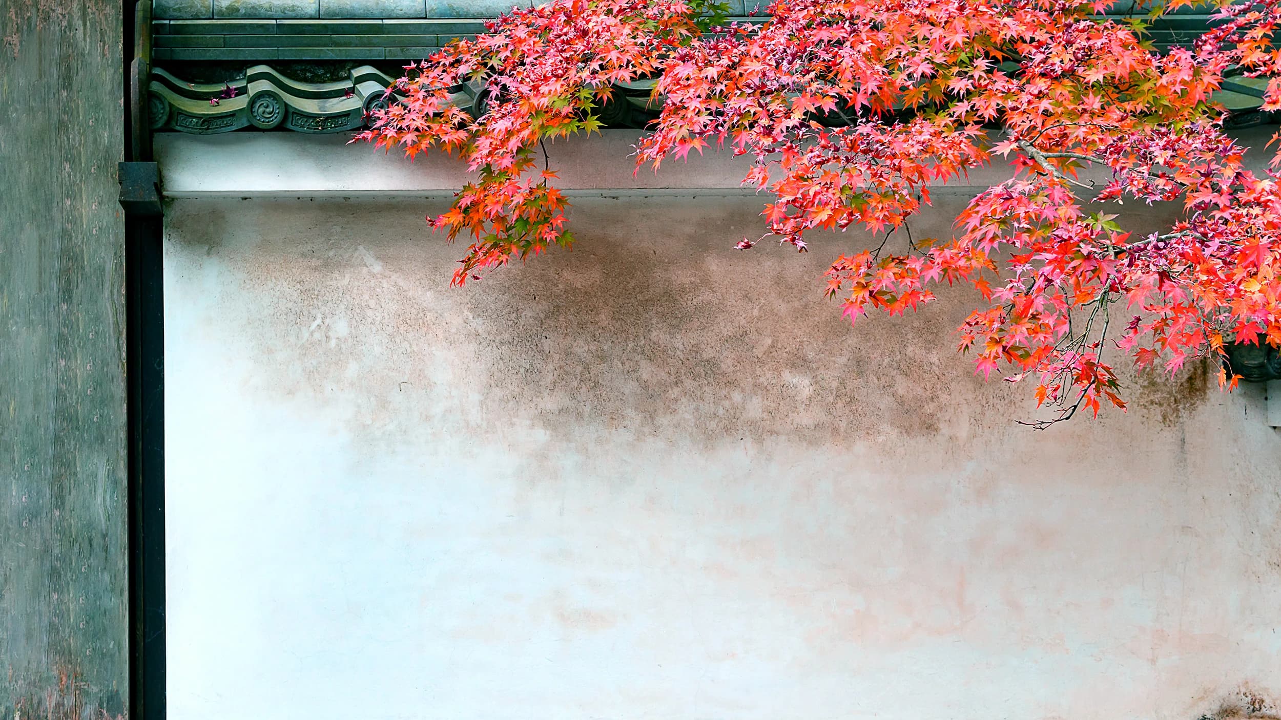 紅葉と土壁